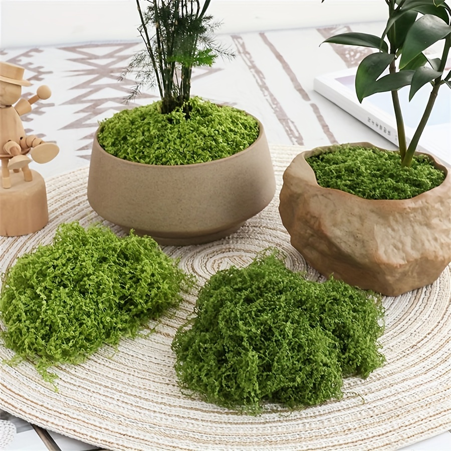 Terrarium Moss Art - 인공 가짜 이끼, 1.05 OZ DIY