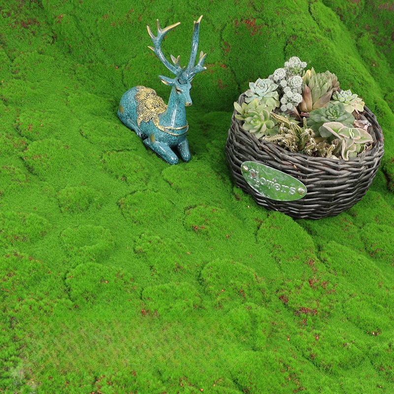 인조 잔디 이끼 시뮬레이션 잔디 씨앗, 인조 잔디 카펫 - Terrarium Moss Art 리뷰 및 가격