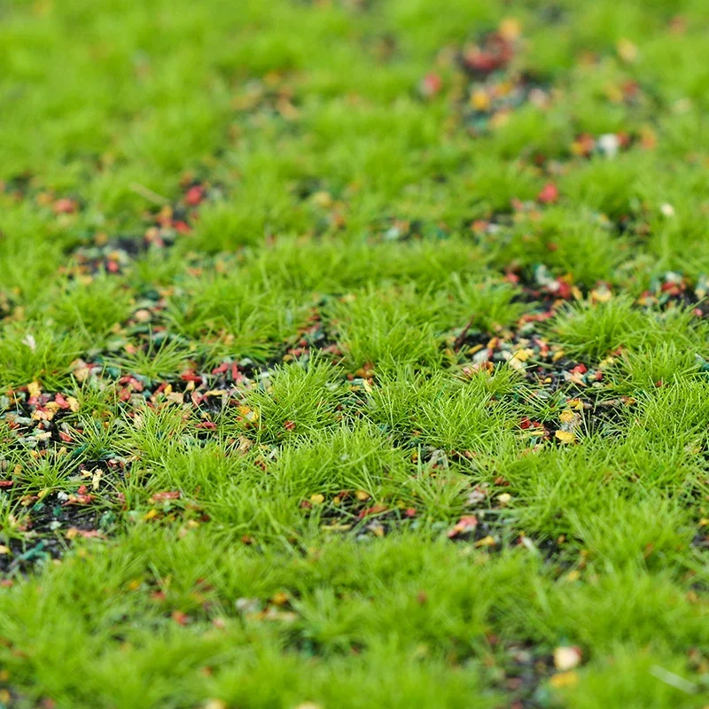 인조 잔디 이끼 시뮬레이션 잔디 씨앗, 인조 잔디 카펫 - Terrarium Moss Art 리뷰 및 가격